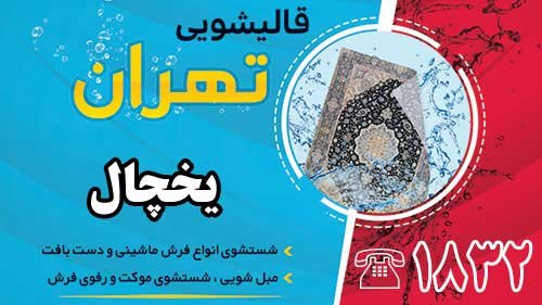 قالیشویی در یخچال